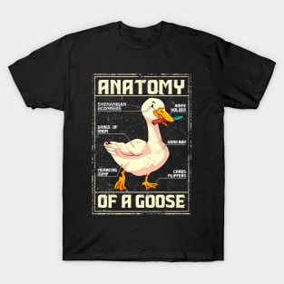 Vintage anatomy of a goose T-Shirt